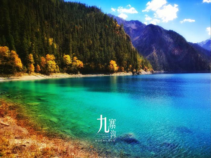探索知识星球平台,加入顺风驾校,现在报多少钱,拓展你的学习之旅